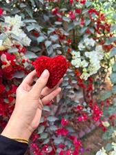 Mini Heart - Stuffed Heart