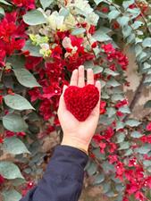 Mini Heart - Stuffed Heart