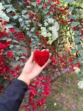 Mini Heart - Stuffed Heart