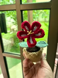 Hibiscus - Stuffed Flower
