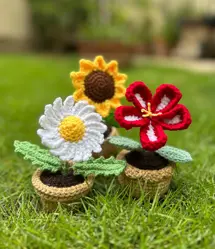 Hibiscus - Stuffed Flower