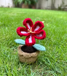 Hibiscus - Stuffed Flower