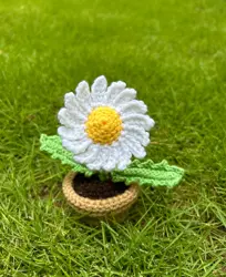 Crochet Blossom - Stuffed Flower