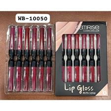 Warda Beauty Shiny & Matte Lipgloss 6 pc set