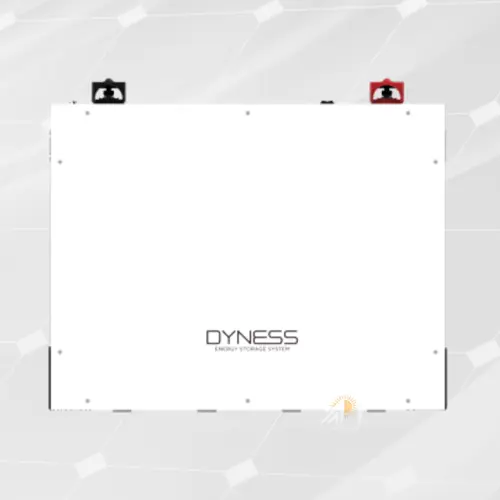 Dyness DL5.0 Lithium-ion Battery 