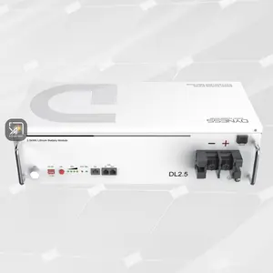 Dyness 2.56kWh Lithium Battery | DL2.5 -25.6V 100Ah | Up to 16 units in parallel