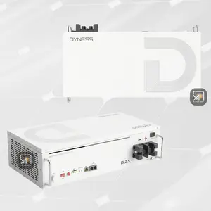 Dyness 2.56kWh Lithium Battery | DL2.5 -25.6V 100Ah | Up to 16 units in parallel