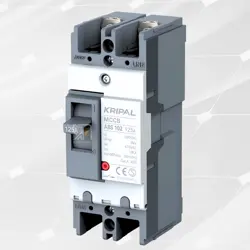 KRIPAL - AC Moulded Case Circuit Breakers (MCCB) 125AMP (2Pole)