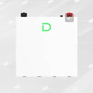 Dyness DL5.0C Pro 5.12 kWh Lithium Battery