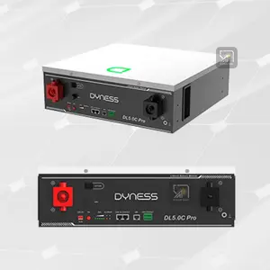 Dyness DL5.0C Pro 5.12 kWh Lithium Battery
