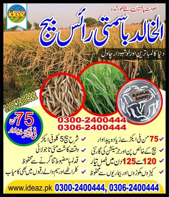 Al Khalid Basmati Rice 
