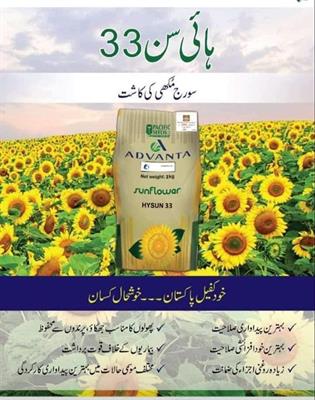 Hysun 33