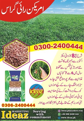Ryegrass