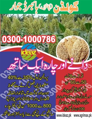 Golden Pakawan Jawar
