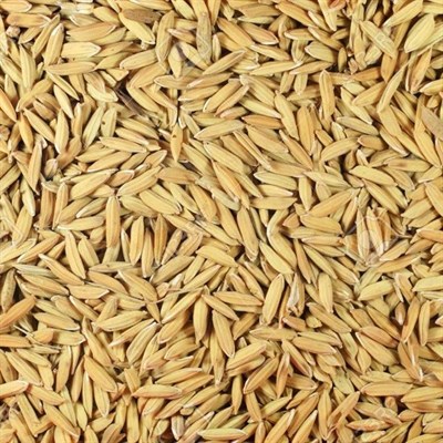 Pak Super Rice