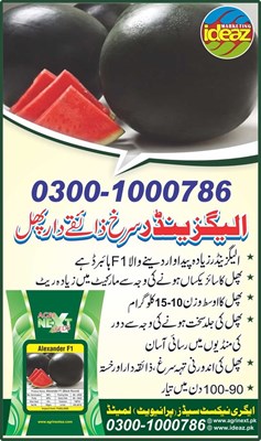 SUPER WATERMELON