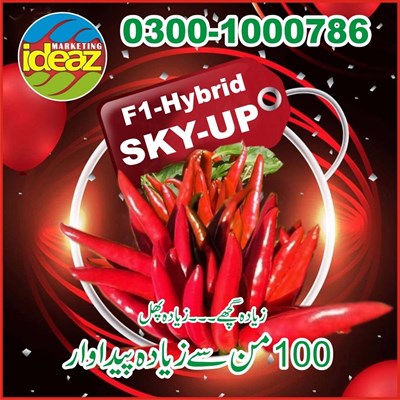 Sky-Up Hybrid F1