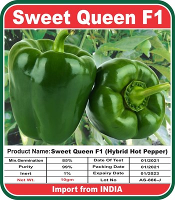 Green Bell Pepper