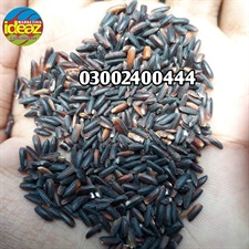 Black Rice