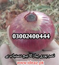 Nasar Pori Onion Seeds