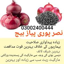 Nasar Pori Onion Seeds