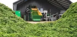 Onega Protiene Grass