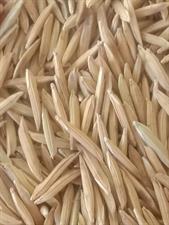 Al Khalid Basmati Rice 