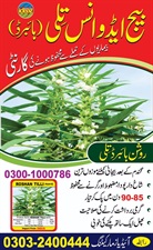 Hybrid Tilli