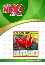 Golden Sky F1