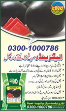 SUPER WATERMELON