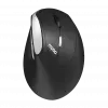 Rapoo EV250 Silent Vertical Wireless Mouse 