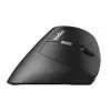 Rapoo EV250 Silent Vertical Wireless Mouse 