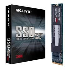 Gigabyte 256GB NVMe M.2 SSD