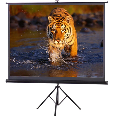 Speed-X Projector Screen 120 Inch Tripod Portable 6×8 Feet 4:3MW