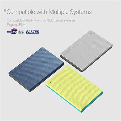 Hikvision HS-EHDD-T30 2TB Portable Hard Drive (Blue, Grey)