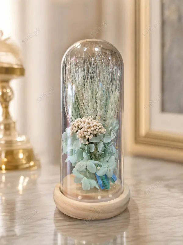 Decorative Glass Dome 
