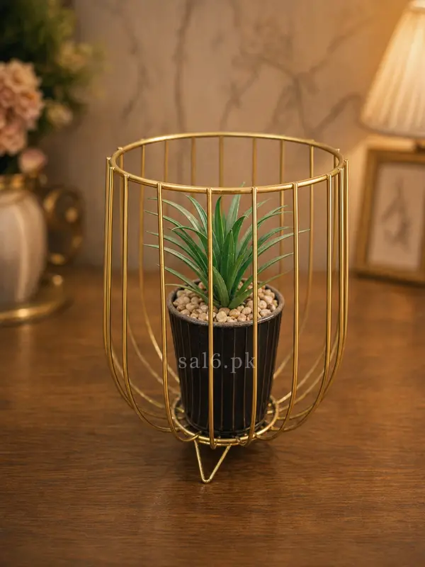 Premium Indoor Plant Cage Decor