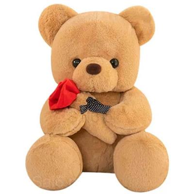 Teddy Bear with Rose