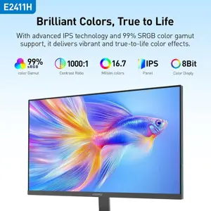  KOORUI E2411H 24" FHD IPS 120Hz, AMD FreeSync Premium Technology, Eye-care flicker-free, low blue, 99% sRGB, HDMI1.4+VGA