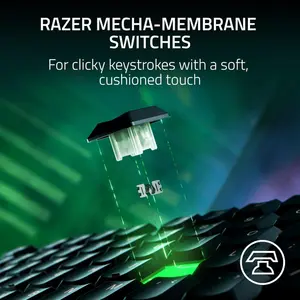 Razer Ornata V3 Tenkeyless Low Profile Gaming Keyboard - WITHOUT BOX & WRIST REST