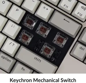 Keychron C2 Wired Mechanical Keyboard | Retro | Keychrone Mechanical Brown Switches