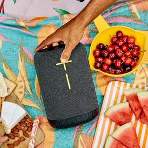 UE Epicboom (Charcoal Black) Portable Speaker | Powerful 360° Sound | 17-Hr Battery | IP67