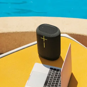 UE Epicboom (Charcoal Black) Portable Speaker | Powerful 360° Sound | 17-Hr Battery | IP67