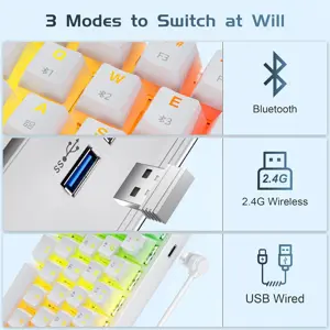 Tezarre TK63 Pro (White) | 60% Wireless Mechanical Keyboard |Tri-Mode | Hot-Swappable