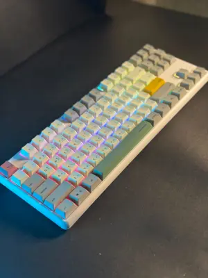 Thinkway TAUCHE.T 301 Wireless 87-Key Mechanical Keyboard