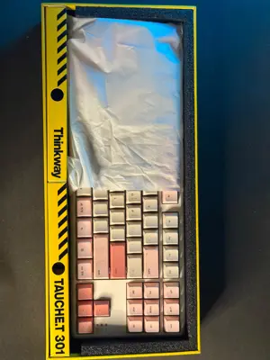 Thinkway TAUCHE.T 301 Wireless 87-Key Mechanical Keyboard