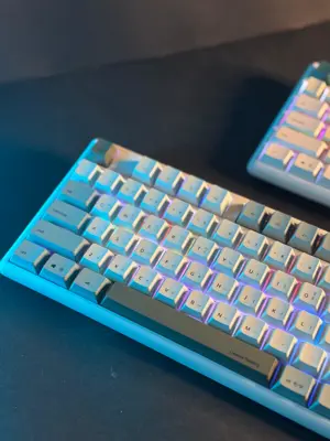 Thinkway TAUCHE.T 301 Wireless 87-Key Mechanical Keyboard