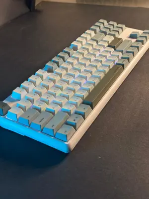 Thinkway TAUCHE.T 301 Wireless 87-Key Mechanical Keyboard