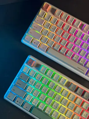 Thinkway TAUCHE.T 301 Wireless 87-Key Mechanical Keyboard