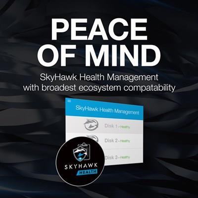 Seagate SkyHawk 4TB Surveillance HDD | SATA III 3.5" Internal Hard Drive ST4000VX013 256MB Cache